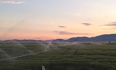 sunset_field_irrigating_WEB