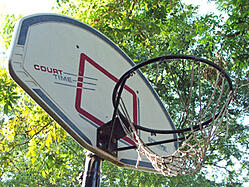 basketball hoop photo