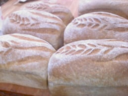 Wheat Garden To Whole Wheat Bread: Happy Earth Day!