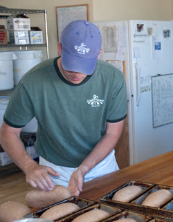 kneading whole wheat bread photo