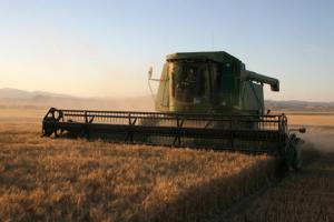 Combine harvest photo