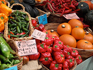 Great Harvest CSA photo