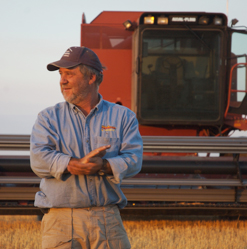 wheat farmer