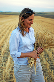 Farmer wheat photo web
