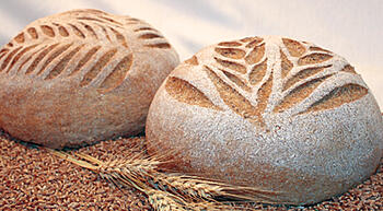 whole wheat bread photo