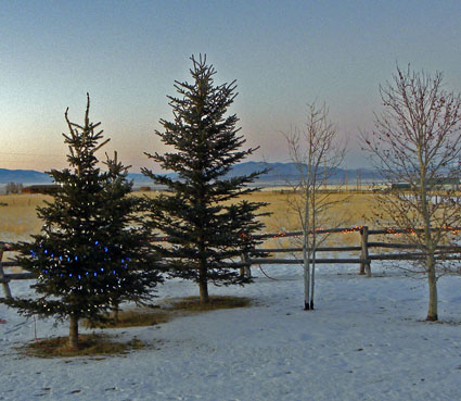 Montana snow