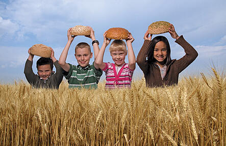 Kids in wheat photo