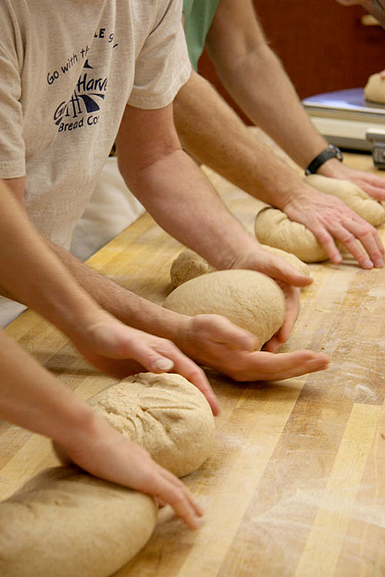 kneading whole wheat bread