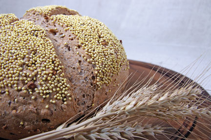 whole wheat bread photo