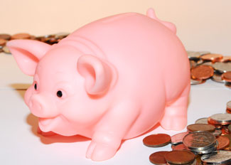 piggy bank photo