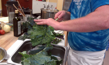 prepping kale photo