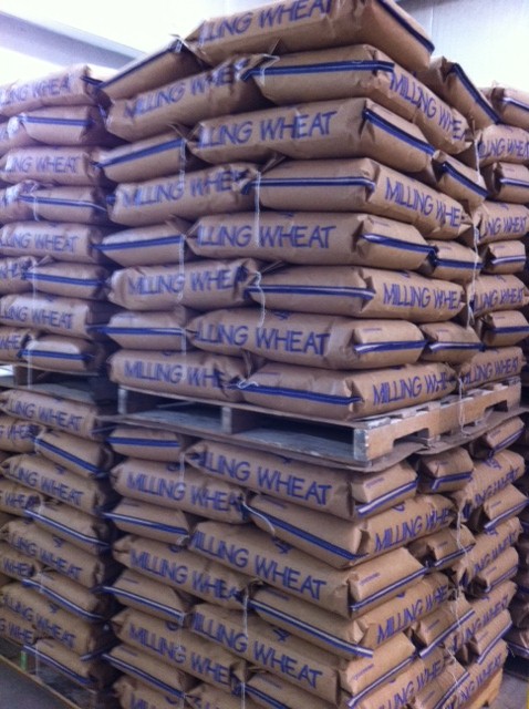 wheat berries to ship photo