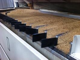 wheat cleaning photo