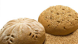 whole grain bread photo