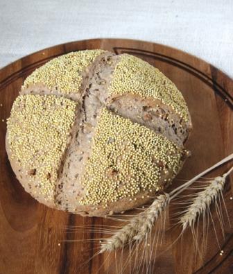 whole wheat bread photo