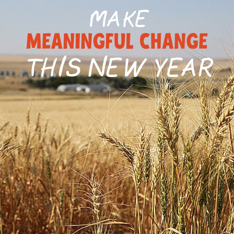 Stop Making SMART Goals in 2015. Life-Changing Goals Require More.