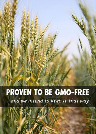 proven_to_be_gmo_free_and_keep_them_that_way.jpg