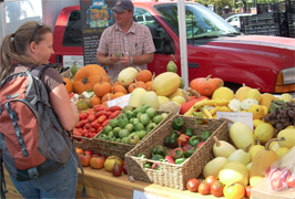 farmers market photo