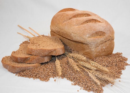 whole wheat bread