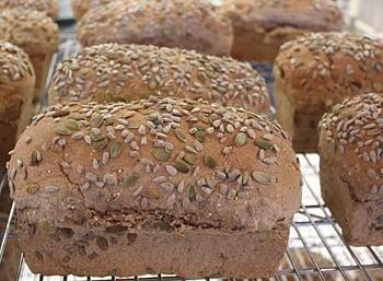 whole_wheat_dakota_bread_web