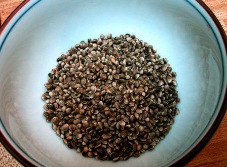 The Virtues of Hemp Seed: An Easy Add-in With Big Nutritional Benefits