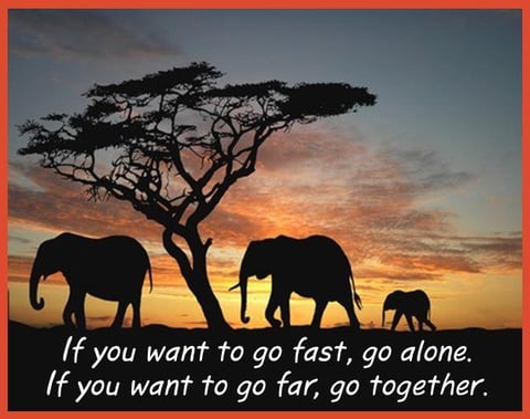 a photo of elephants with text: If you want to go fast, go alone. If you want to go far, go together.