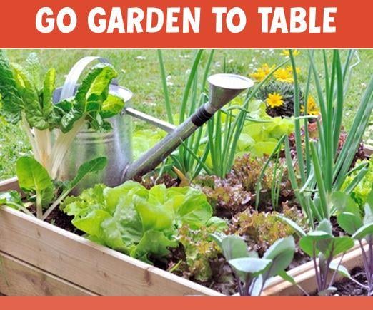 go_garden_to_table.jpg