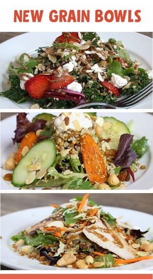 Photo of Great Harvest salads, also called grain bowls