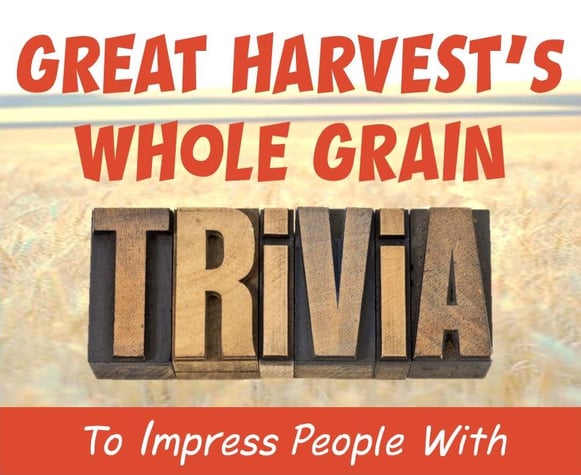 great_harvest_whole_grain_trivia