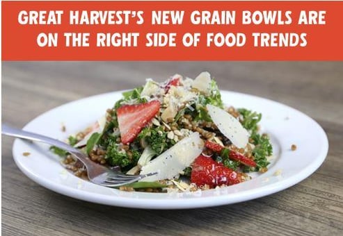 new_grain_bowls_on_the_right_side_of_food_trends.jpg new_grain_bowls_on_the_right_side_of_food_trends.jpg