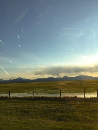 spring-field-montana